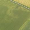 Oblique aerial view centred on the cropmarks of the rectilinear settlement at Morham Mains, taken from the N.