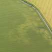 Oblique aerial view centred on the cropmarks of the rectilinear settlement at Morham Mains, taken from the NW.