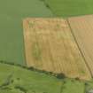 Oblique aerial view of the cropmarks of the ring ditch of the possible barrow at Broomfield, taken from the SSE.