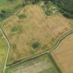 Oblique aerial view of the cropmarks of the enclosure and timber hall at Monboddo, taken from the WNW.