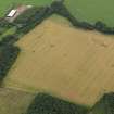 Oblique aerial view of the cropmarks of the rig and furrow at Balmakewan, taken from the NW.