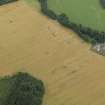 Oblique aerial view of the cropmarks of the rig and furrow at Balmakewan, taken from the W.