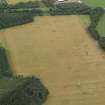 Oblique aerial view of the cropmarks of the rig and furrow at Balmakewan, taken from the WSW.