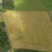 Oblique aerial view of the cropmarks of the souterrain and the rig and furrow, taken from the WSW.