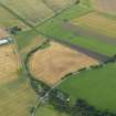 General oblique aerial view of the cropmarks of the ring ditches, souterrains and pits at Pitroddie, taken from the N.