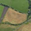 Oblique aerial view centred on the cropmarks of the souterrain, round houses and pits, taken from the SE.