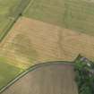 Oblique aerial view centred on the cropmarks of the enclosure, pits and rig, taken from the SE.