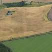 Oblique aerial view centred on the cropmarks of the pit defined enclosure, ring ditch and rig at Laigh of Rossie, taken from the SE.