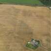 Oblique aerial view centred on the cropmarks of the pit defined enclosure, ring ditch and rig at Laigh of Rossie, taken from the NW.