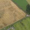 Oblique aerial view centred on the cropmarks of the pit defined enclosure, ring ditch and rig at Laigh of Rossie, taken from the SW.