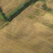 Oblique aerial view of the cropmarks of the possible enclosure, pits and rig, taken from the SW.
