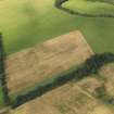 Oblique aerial view of the cropmarks of the barrows, pits and enclosure, taken from the S.