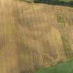 Oblique aerial view of the cropmarks of the possible enclosure, pits and rig, taken from the SSE.