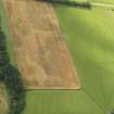 Oblique aerial view of the cropmarks of the barrows, pits and enclosure, taken from the NE.
