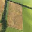 Oblique aerial view of the cropmarks of the barrows, pits and enclosure, taken from the N.