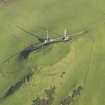 Oblique aerial view centred on the remains of the fort, taken from the SW.