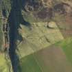 Oblique aerial view centred on the remains of the dun, field banks and rig, taken from the W.