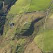 Oblique aerial view centred on the remains of the fort at Largiemore with the remains of the farmstead adjacent, taken from the NNE.