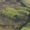 Oblique aerial view centred on the remains of the fort, taken from the NE.