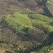 Oblique aerial view centred on the remains of the fort, taken from the NE.