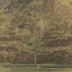 Oblique aerial view of the remains of the military training site, taken from the WNW.