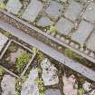 Detail of tram track with two directions of laid setts at W end of depot.