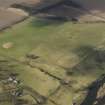 Oblique aerial view centred on the remains of rig and furrow cultivation with the East Lodge adjacent, taken from the SE.