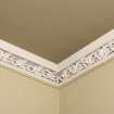 Interior. Detail of cornice