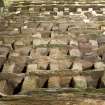 View of nesting boxes within dovecot