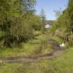 General view from SSE showing trackbed and platforms with road overbridge in the background.