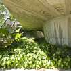 Concrete underside and planting.  Detail