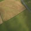 Oblique aerial view of the cropmarks of the rig, pits, field boundary and enclosure, taken from the SW.