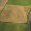 Oblique aerial view of the cropmarks of the rig, pits, field boundary and enclosure, taken from the SSE.