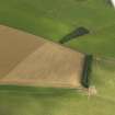 Oblique aerial view of the cropmarks of the settlment and field boundary, taken from the SW.