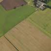 Oblique aerial view of the cropmarks of the ring ditch, taken from the WNW.