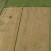 Oblique aerial view of the cropmarks of the ring ditch, taken from the WSW.