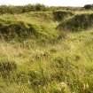 View from ENE looking along trench system.