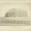 Drawing A. Archer, Pencil 1837.