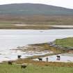 View of fish trap at Moronish, Vallay, taken from N