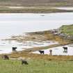 View of fish trap at Moronish, Vallay, taken from N