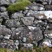 Fine example of drystone walling,Derrynaculen fank