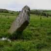 Acholter, Standing Stone (40316). View from the NW.