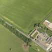 Oblique aerial view of the cropmarks of the enclosure, pits and pit alignment, taken from the S.