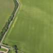 Oblique aerial view of the cropmarks of the enclosure, pits and pit alignment, taken from the ESE.