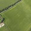 Oblique aerial view of the cropmarks of the enclosure, pits and pit alignment, taken from the E.