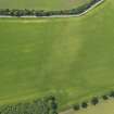 Oblique aerial view of the cropmarks of the enclosure, pits and pit alignment, taken from the NE.