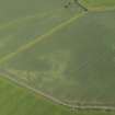 Oblique aerial view of the cropmarks of the settlement at Morham Mains, taken from the SSE.
