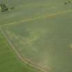 Oblique aerial view of the cropmarks of the settlement at Morham Mains, taken from the SE.