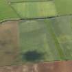 Oblique aerial view of the cropmarks of the settlement and possible field boundary, taken from the E.