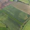 Oblique aerial view of the cropmarks of the settlement and possible field boundary, taken from the NW.